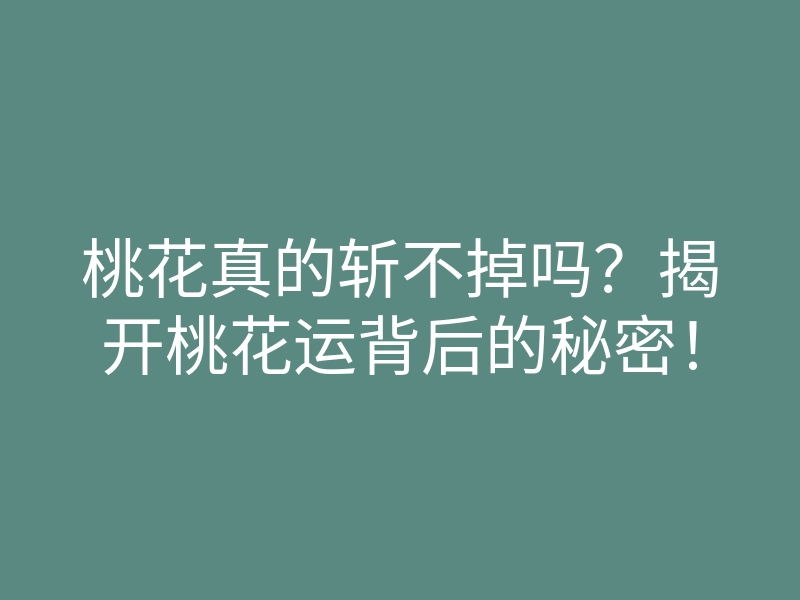 桃花真的斩不掉吗?揭开桃花运背后的秘密!