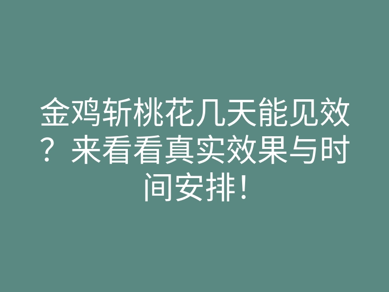 金鸡斩桃花几天能见效?来看看真实效果与时间安排!
