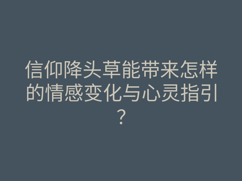 信仰降头草能带来怎样的情感变化与心灵指引?