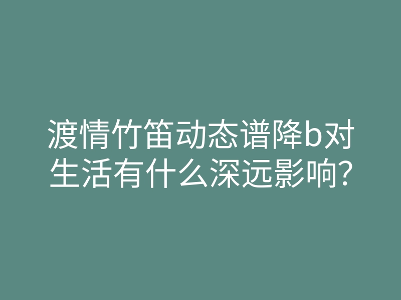 渡情竹笛动态谱降b对生活有什么深远影响？