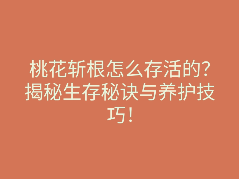 桃花斩根怎么存活的?揭秘生存秘诀与养护技巧!