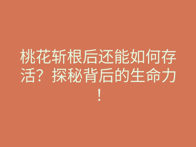 桃花斩根后还能如何存活?探秘背后的生命力!