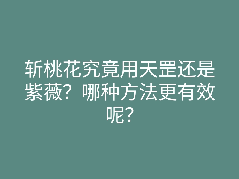 斩桃花究竟用天罡还是紫薇?哪种方法更有效呢?