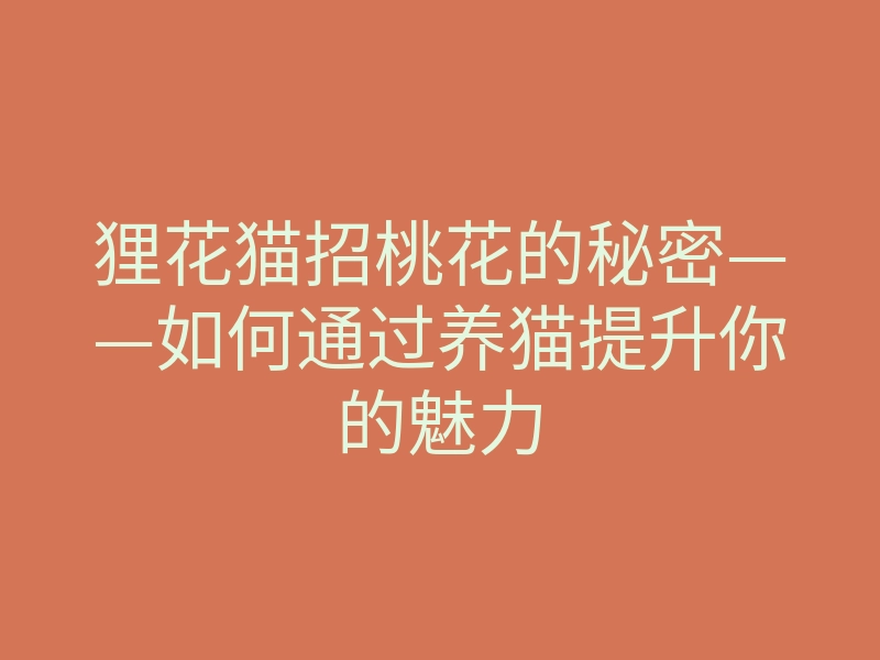 狸花猫招桃花的秘密——如何通过养猫提升你的魅力