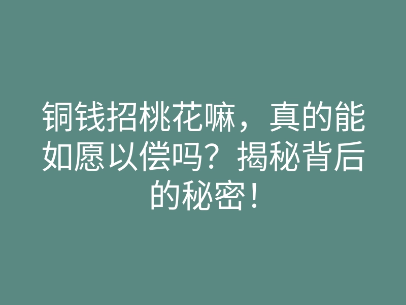 铜钱招桃花嘛,真的能如愿以偿吗?揭秘背后的秘密!