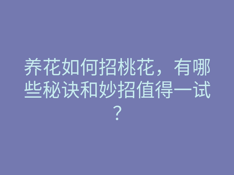 养花如何招桃花,有哪些秘诀和妙招值得一试?