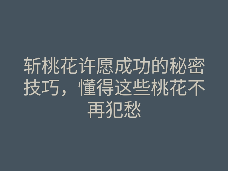 斩桃花许愿成功的秘密技巧,懂得这些桃花不再犯愁
