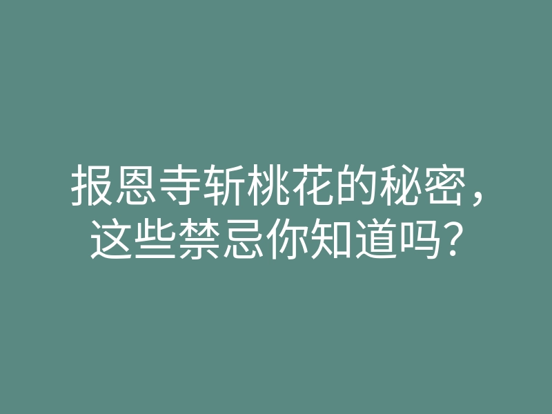 报恩寺斩桃花的秘密,这些禁忌你知道吗?