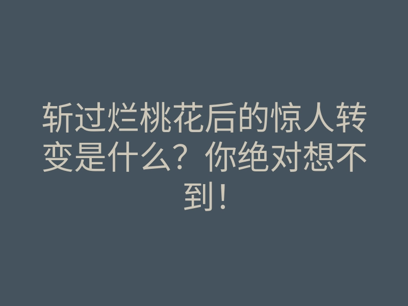 斩过烂桃花后的惊人转变是什么?你绝对想不到!