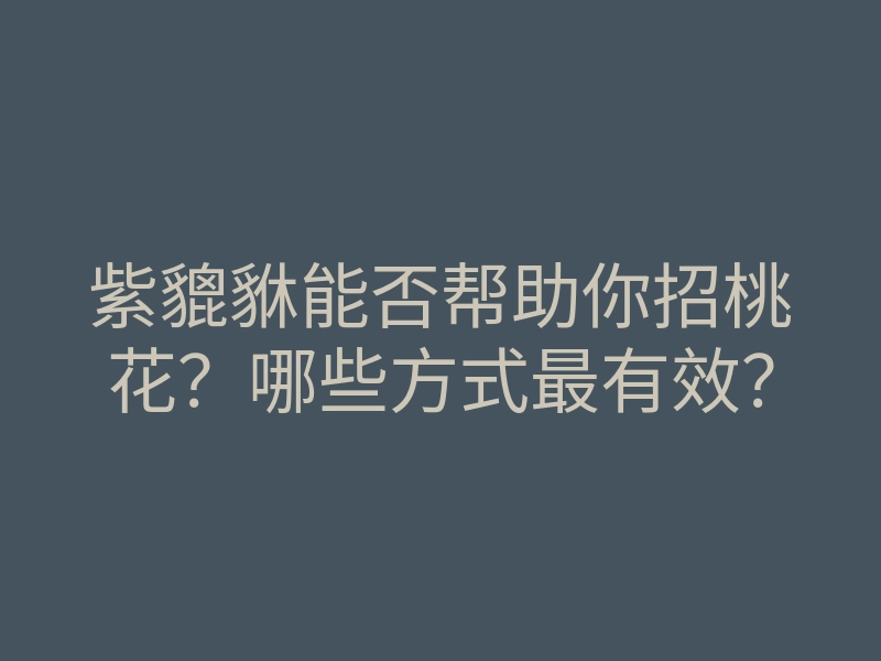 紫貔貅能否帮助你招桃花?哪些方式最有效?