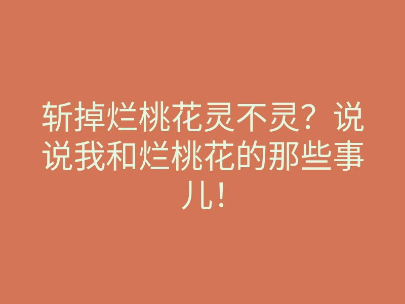 斩掉烂桃花灵不灵?说说我和烂桃花的那些事儿!