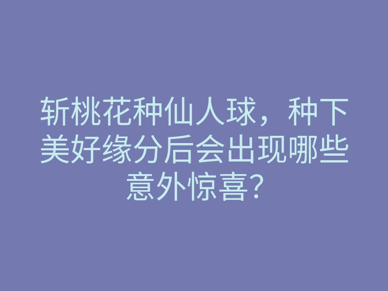 斩桃花种仙人球,种下美好缘分后会出现哪些意外惊喜?