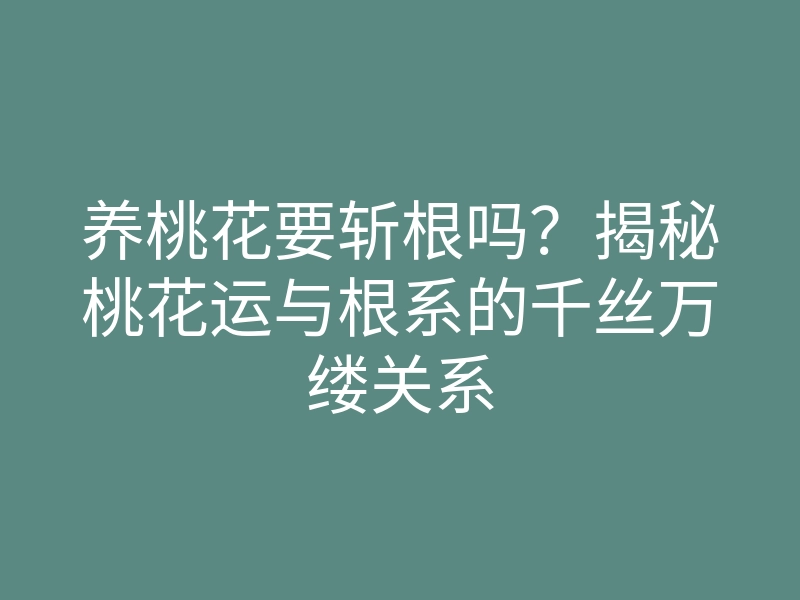 养桃花要斩根吗?揭秘桃花运与根系的千丝万缕关系