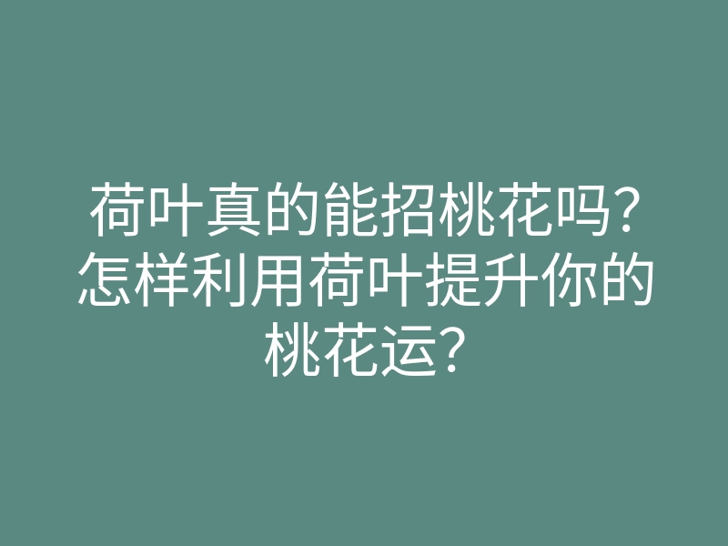 荷叶真的能招桃花吗?怎样利用荷叶提升你的桃花运?