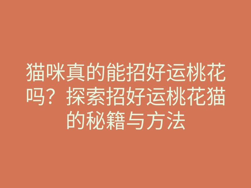 猫咪真的能招好运桃花吗？探索招好运桃花猫的秘籍与方法