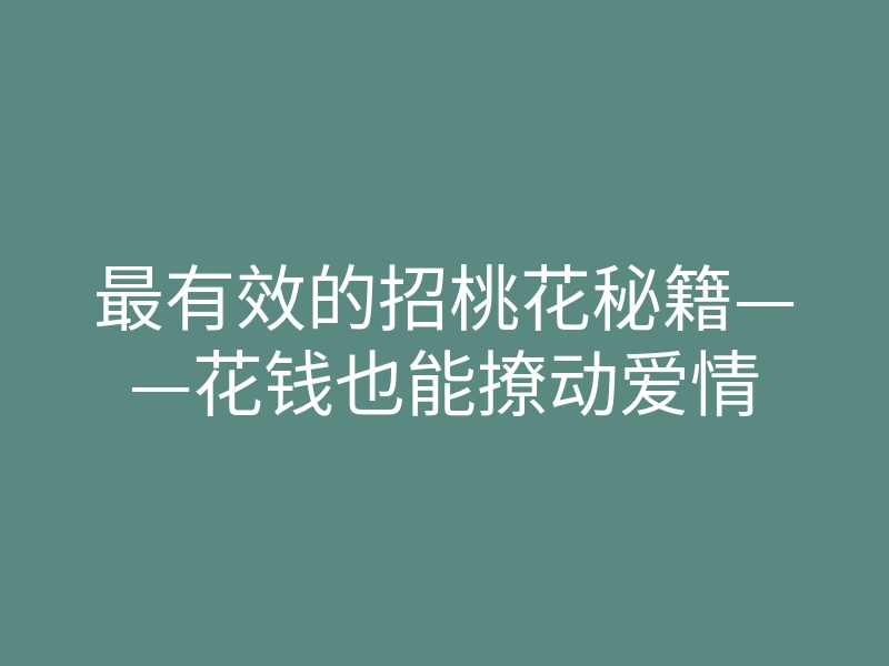 最有效的招桃花秘籍——花钱也能撩动爱情