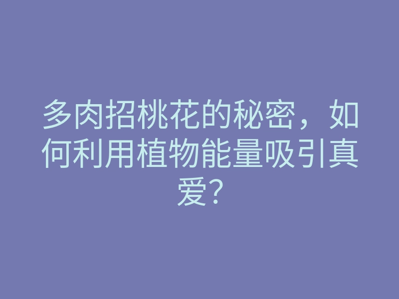 多肉招桃花的秘密,如何利用植物能量吸引真爱?