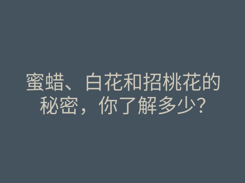 蜜蜡、白花和招桃花的秘密,你了解多少?