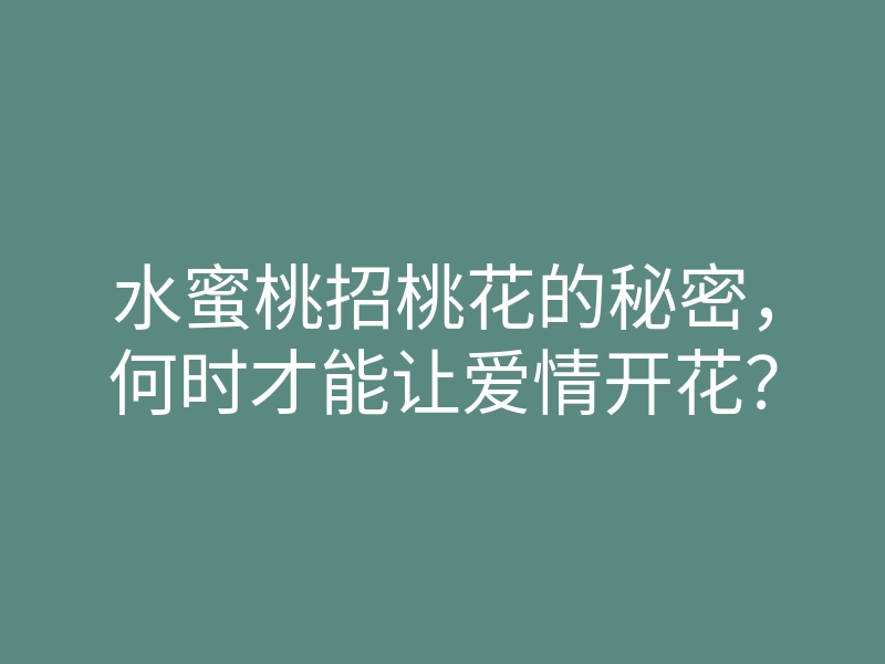 水蜜桃招桃花的秘密,何时才能让爱情开花?