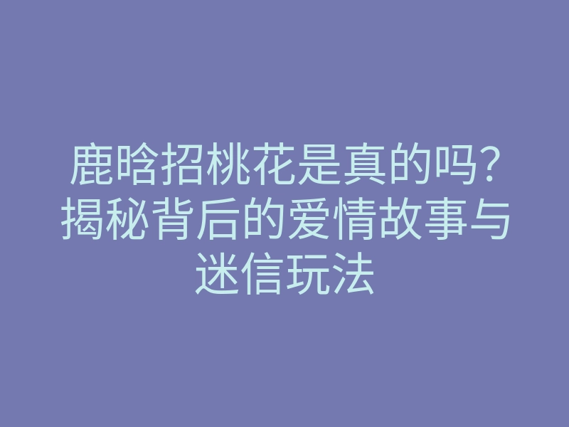 鹿晗招桃花是真的吗?揭秘背后的爱情故事与迷信玩法