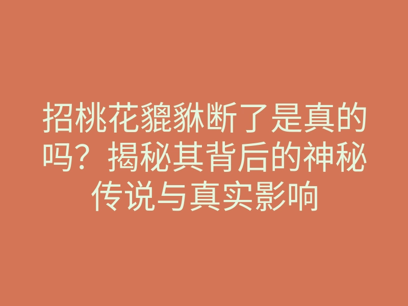 招桃花貔貅断了是真的吗?揭秘其背后的神秘传说与真实影响