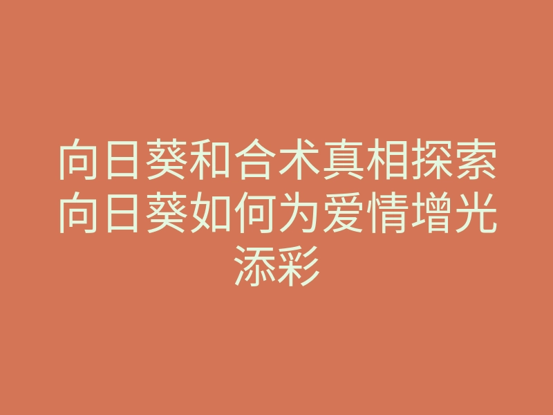 向日葵和合术真相探索向日葵如何为爱情增光添彩