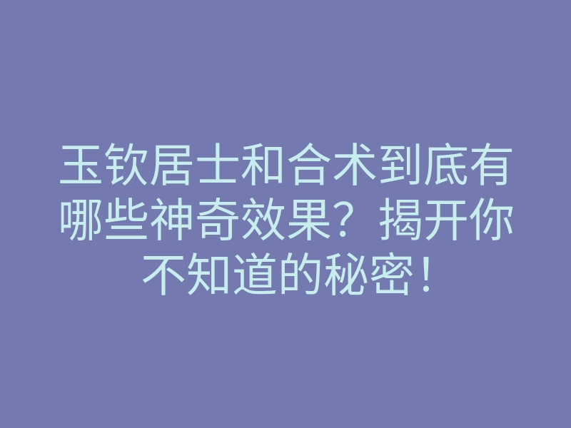 玉钦居士和合术到底有哪些神奇效果?揭开你不知道的秘密!