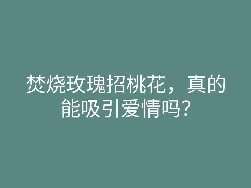 焚烧玫瑰招桃花,真的能吸引爱情吗?