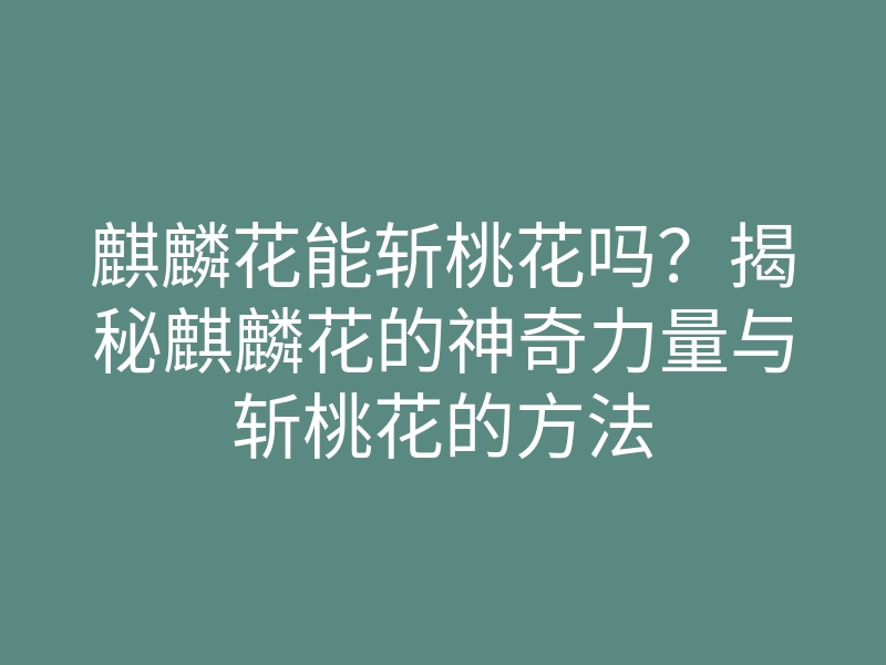 麒麟花能斩桃花吗?揭秘麒麟花的神奇力量与斩桃花的方法