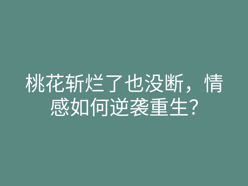 桃花斩烂了也没断,情感如何逆袭重生?
