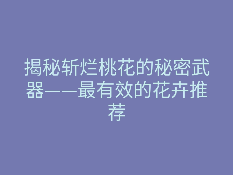 揭秘斩烂桃花的秘密武器——最有效的花卉推荐