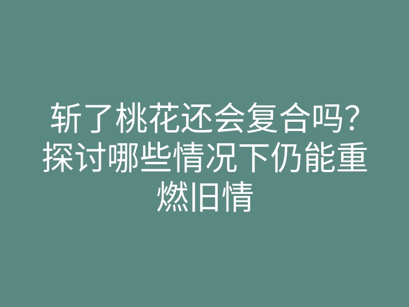 斩了桃花还会复合吗？探讨哪些情况下仍能重燃旧情