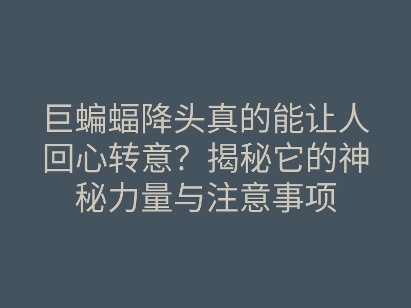 巨蝙蝠降头真的能让人回心转意?揭秘它的神秘力量与注意事项
