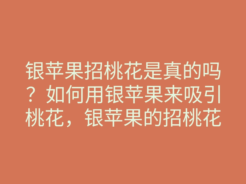 银苹果招桃花是真的吗?如何用银苹果来吸引桃花,银苹果的招桃花技巧解析