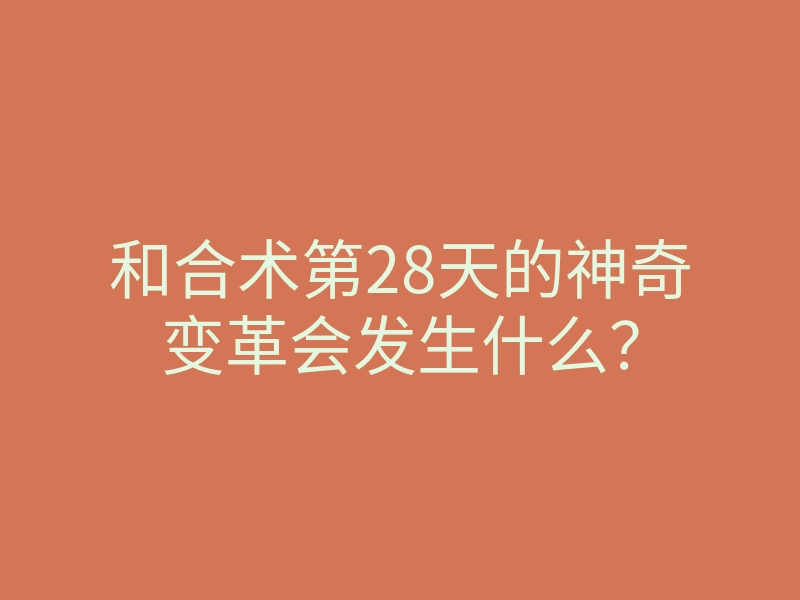 和合术第28天的神奇变革会发生什么?