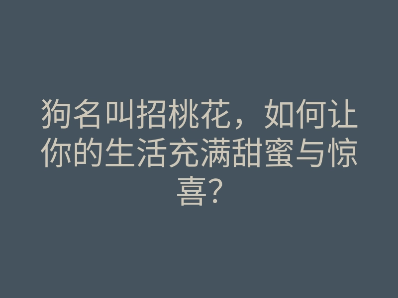 狗名叫招桃花,如何让你的生活充满甜蜜与惊喜?