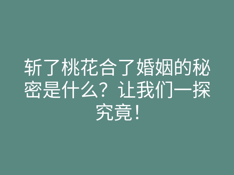 斩了桃花合了婚姻的秘密是什么?让我们一探究竟!