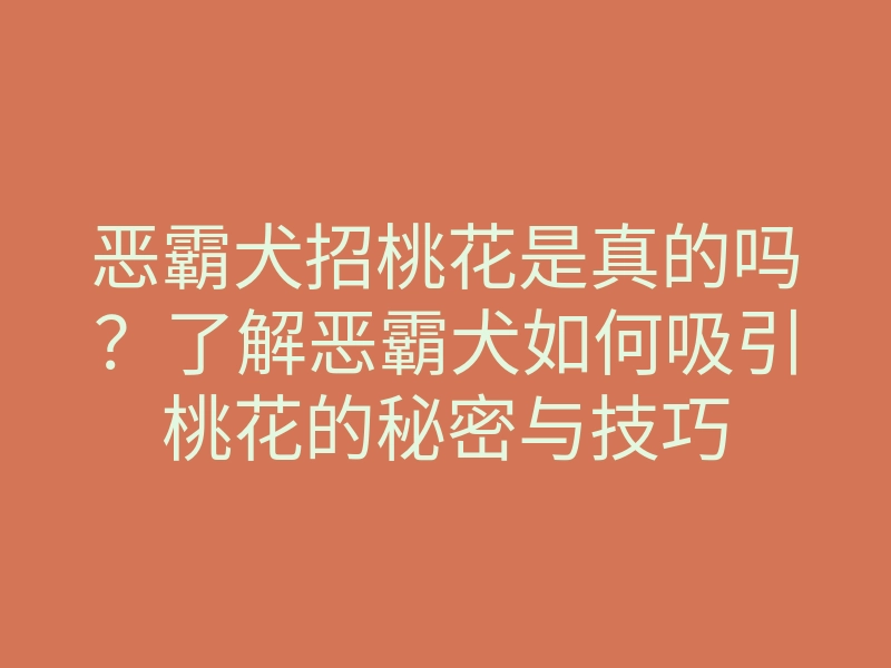 恶霸犬招桃花是真的吗?了解恶霸犬如何吸引桃花的秘密与技巧