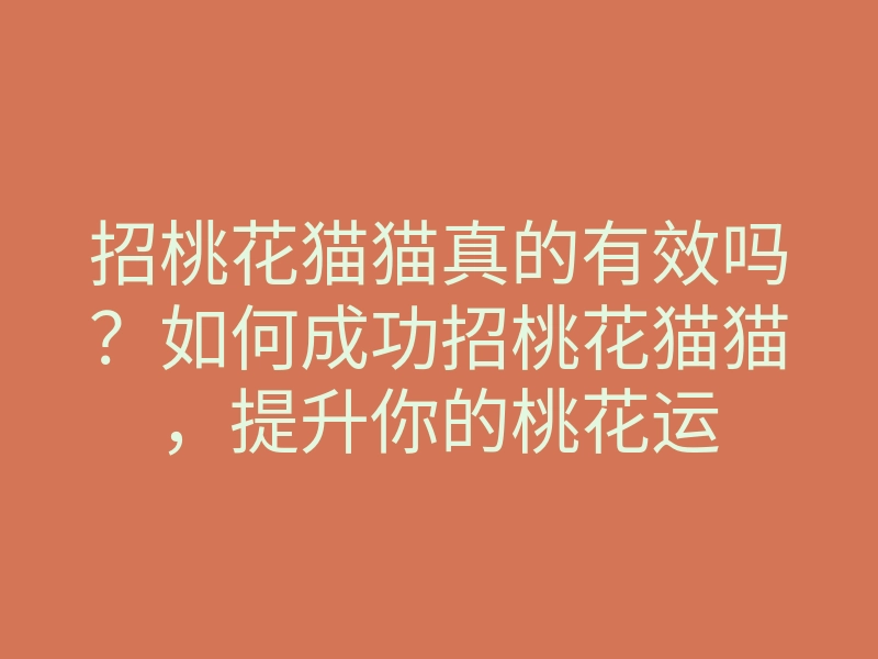 招桃花猫猫真的有效吗?如何成功招桃花猫猫,提升你的桃花运