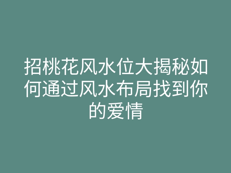 招桃花风水位大揭秘如何通过风水布局找到你的爱情
