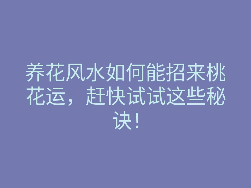 养花风水如何能招来桃花运,赶快试试这些秘诀!