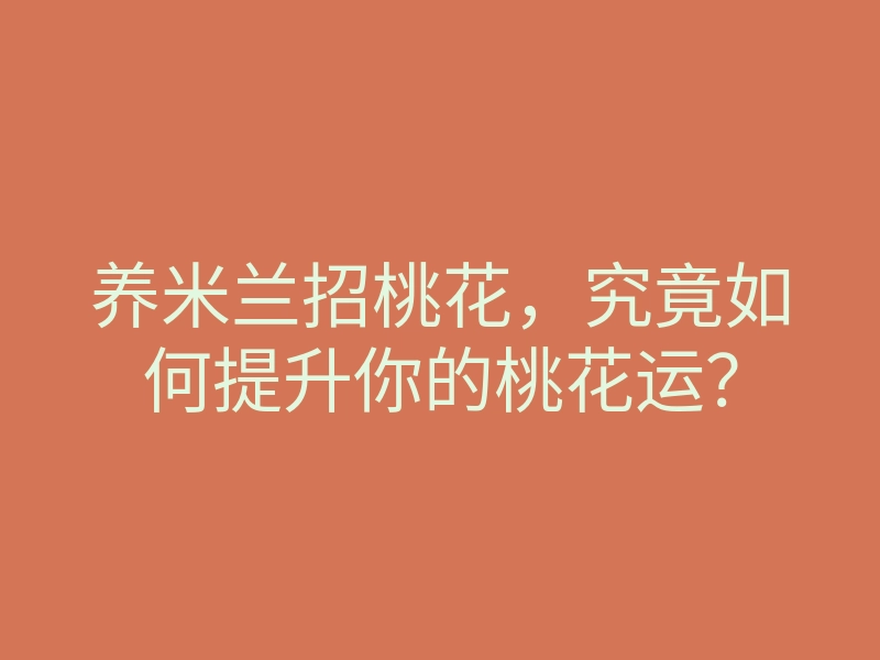 养米兰招桃花,究竟如何提升你的桃花运?