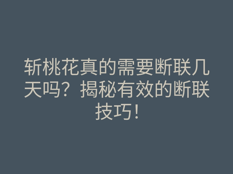 斩桃花真的需要断联几天吗?揭秘有效的断联技巧!