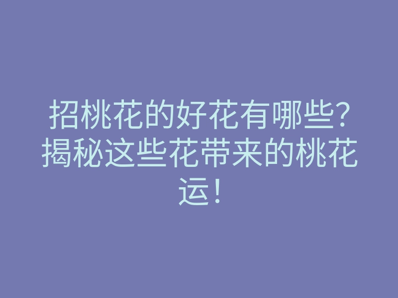 招桃花的好花有哪些?揭秘这些花带来的桃花运!