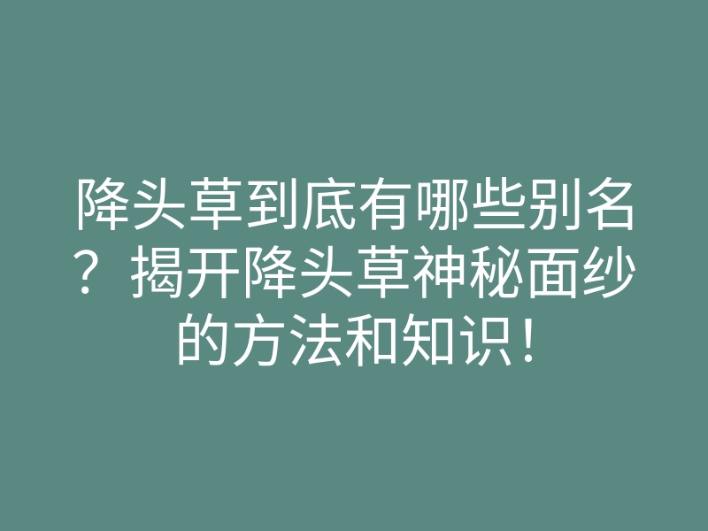 降头草到底有哪些别名?揭开降头草神秘面纱的方法和知识!