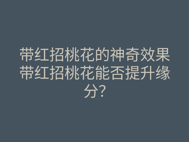 带红招桃花的神奇效果带红招桃花能否提升缘分?