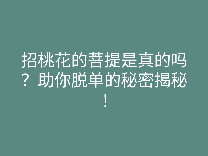 招桃花的菩提是真的吗?助你脱单的秘密揭秘!