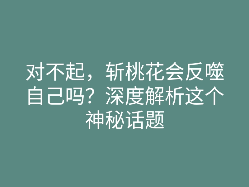 对不起,斩桃花会反噬自己吗?深度解析这个神秘话题