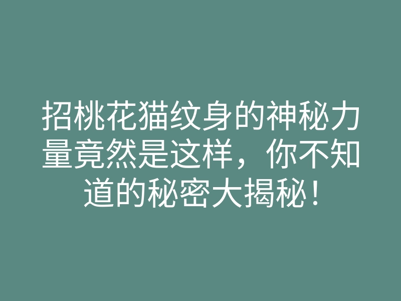 招桃花猫纹身的神秘力量竟然是这样,你不知道的秘密大揭秘!