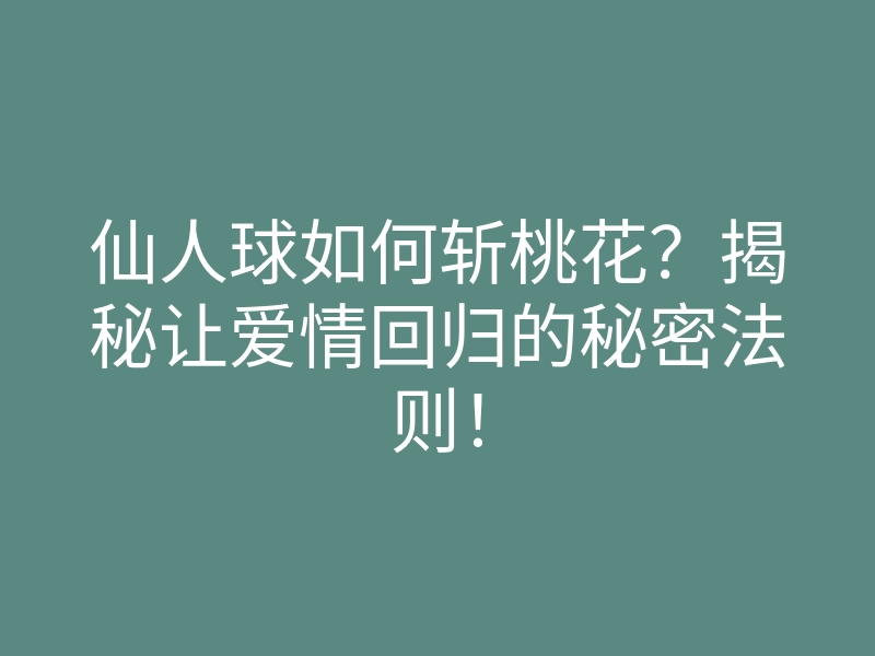 仙人球如何斩桃花?揭秘让爱情回归的秘密法则!